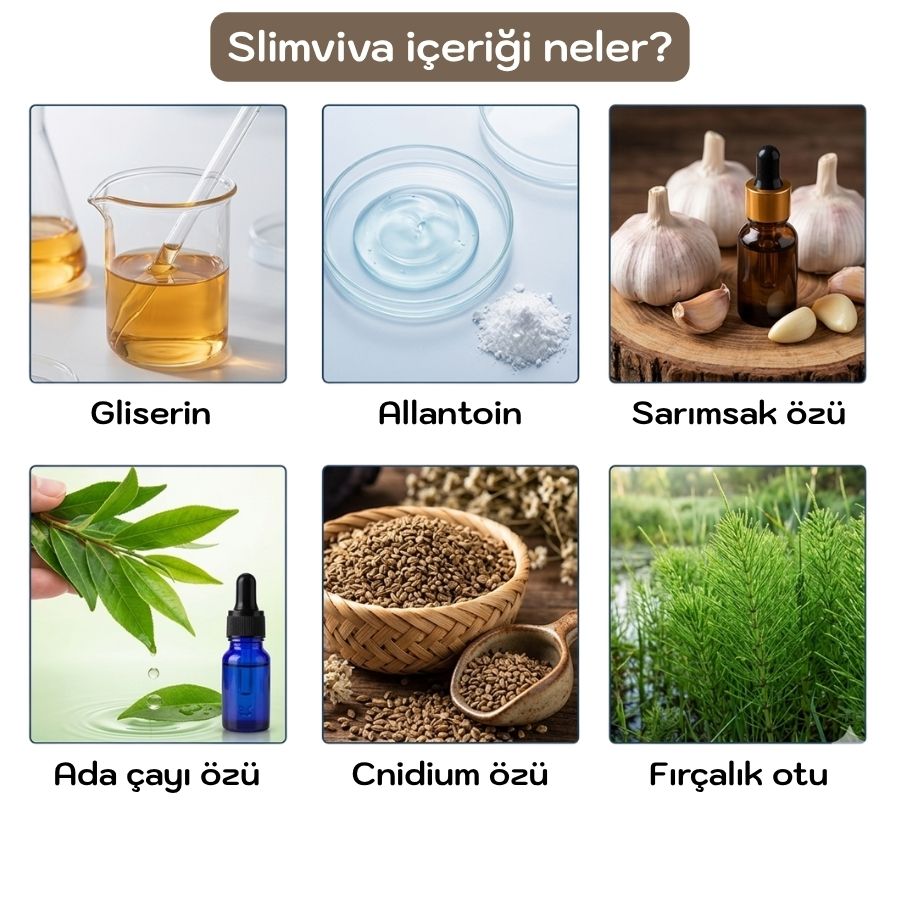 SLİMVİVA BİTKİSEL TIRNAK YAMASI